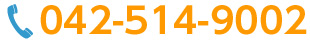 042-529-9002