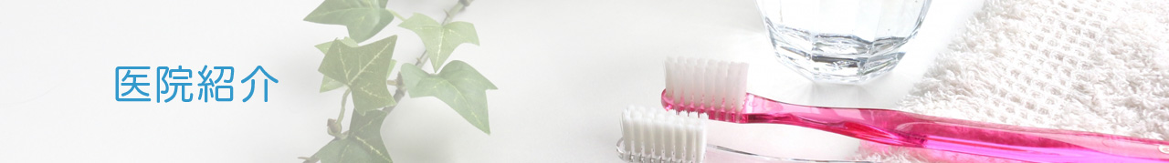 すぎたデンタルクリニックの歯科医院紹介